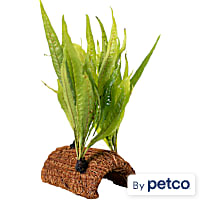 Halftube with Coco and Plant