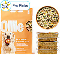 Ollie Fresh Pork Dish with Apples Fresh Frozen Dog Food