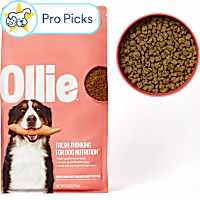 Ollie Baked Beef Dish with Sweet Potatoes Dry Dog Food