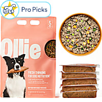 Ollie Fresh Beef Dish with Sweet Potatoes Fresh Frozen Dog Food