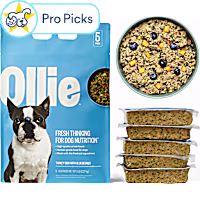 Ollie Fresh Turkey Dish with Blueberries Fresh Frozen Dog Food