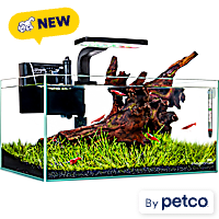 Imagitarium Shallow Glass Aquarium Kit with Lighting, Filtration & Accessories