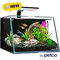 Imagitarium Angled Front Glass Aquarium Kit with Lighting, Filtration & Accessories