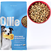 Ollie Baked Turkey Dish with Butternut Squash Dog Food