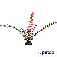 Imagitarium Purple & Green Midground Aquarium Plant