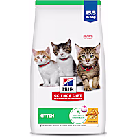 Hill's Science Diet Chicken Recipe Dry Kitten Food