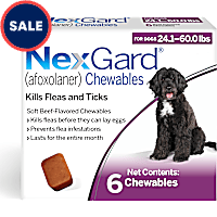NexGard (afoxolaner) Flea and Tick Soft Beef Flavored Oral Chewables for Dogs 24.1 - 60 lbs. (Purple)