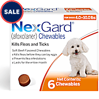NexGard (afoxolaner) Flea and Tick Soft Beef Flavored Oral Chewables for Dogs 4 - 10 lbs. (Orange)
