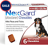 NexGard (afoxolaner) Flea and Tick Soft Beef Flavored Oral Chewables for Dogs 60.1 - 121 lbs. (Red)