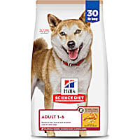 Hill's Science Diet Adult No Corn, Wheat or Soy Chicken Dry Dog Food