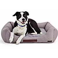 Reddy Canvas Cozy & Cool-Touch Dog Bed
