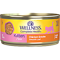 Wellness Complete Health Kitten Chicken Pate Canned Wet Food