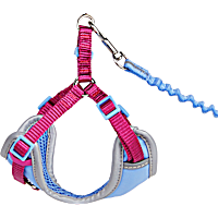 YOULY Reflective Utility Cat & Large Cat Harness & Leash Set