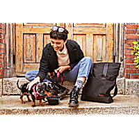 Reddy Step In Small Dog Harness