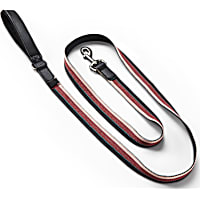 Reddy Stripe Dog Leash