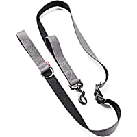 Reddy Shock Absorbent Big Dog Leash