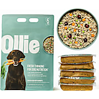 Ollie Fresh Chicken Dish with Carrots Fresh Frozen Dog Food