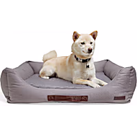 Reddy Cozy & Cool Touch Dog Bed