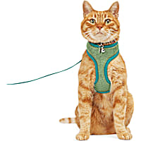 YOULY Updated Mesh Cat Harness & Leash Set