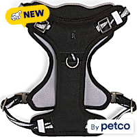 Reddy Everyday Dog Harness