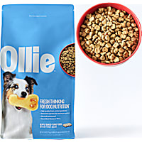 Ollie Baked Turkey Dish with Butternut Squash Dog Food
