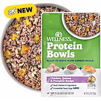 Wellness Protein Bowls, Adult Fresh Alternative Wholesome Grains Chicken, Quinoa & Pumpkin Recipe Dog Food
