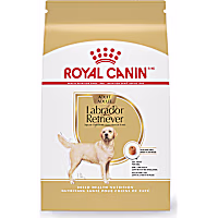 Royal Canin Breed Health Nutrition Labrador Retriever Adult Dry Dog Food