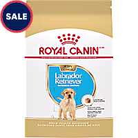 Royal Canin Breed Health Nutrition Labrador Retriever Puppy Dry Dog Food