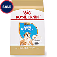 Royal Canin Breed Health Nutrition Bulldog Puppy Dry Dog Food