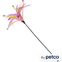 Leaps & Bounds Stringy Cat Teaser