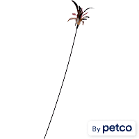 Leaps & Bounds Pink Turkey Feather Cat Teaser