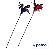 Leaps & Bounds Pheasant Feather Cat Teaser