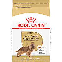Royal Canin Breed Health Nutrition Cocker Spaniel Adult Dry Dog Food