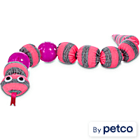 Leaps & Bounds Snake Cat Toy