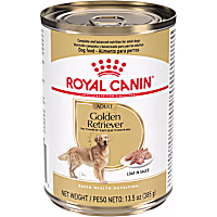 Royal Canin Breed Health Nutrition Golden Retriever Adult Loaf in Sauce Dog Food