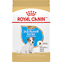 Royal Canin Breed Health Nutrition Jack Russell Terrier Puppy Dry Dog Food