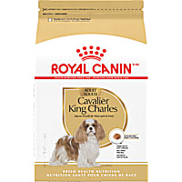 Royal Canin Breed Health Nutrition Cavalier King Charles Spaniel Adult Dry Dog Food