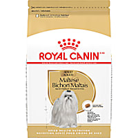 Royal Canin Breed Health Nutrition Maltese Adult Dry Dog Food