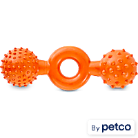 Leaps & Bounds Chomp and Chew Rubber Dumbbell Dog Toy in Assorted Colors