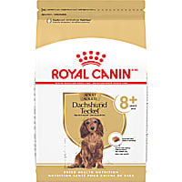 Royal Canin Breed Health Nutrition Dachshund 8+ Senior Dry Dog Food