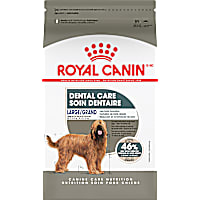 Royal Canin Canine Care Nutrition Large Dental Care Adult Dry Dog Food