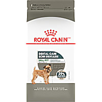 Royal Canin Canine Care Nutrition Small Dental Care Adult Dry Dog Food