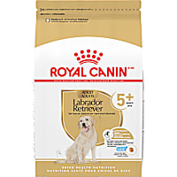 Royal Canin Breed Health Nutrition Labrador Retriever 5+ Mature Dry Dog Food