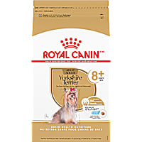 Royal Canin Breed Health Nutrition Yorkshire Terrier 8+ Senior Dry Dog Food