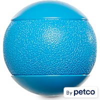 Leaps & Bounds Squeak Ball Dog Toy