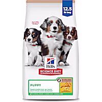Hill's Science Diet No Corn, Wheat or Soy Chicken Dry Puppy Food