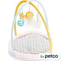 Leaps & Bounds Playmat Kitten Toy