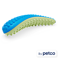 Leaps & Bounds Blue & Green Dental Chew Oval Dog Toy