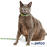 YOULY Green & Silver Rope Cat Harness & Leash Set