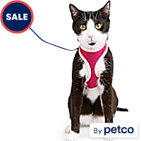 YOULY Mesh Cat Harness & Leash Set